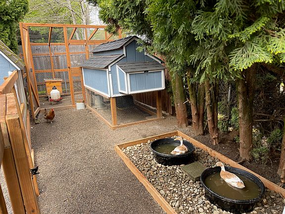 Chicken/duck run