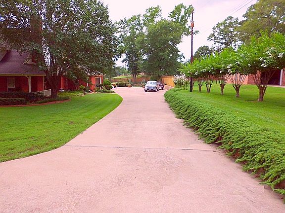 Driveway right with Crepe Myrtles and Junipers