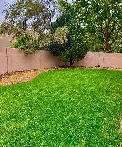 12708 Sunset Ridge Pl NE — Photo 14