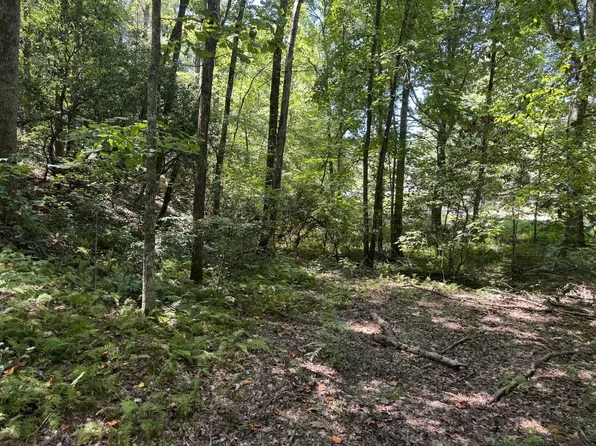 0 Laurel Ridge Dr, Cherry Log, GA 30522
