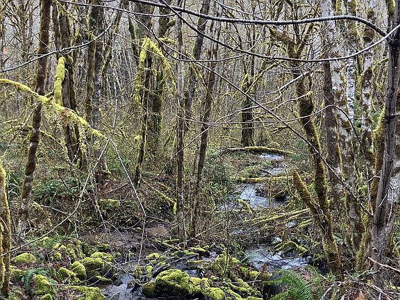4th image of Usfs 71 Rd