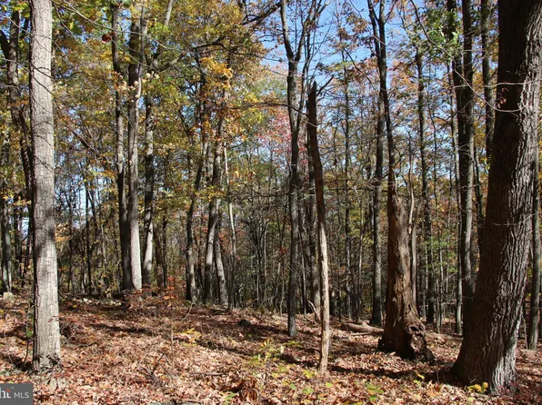 Nicole Ln, Stanley, VA 22851