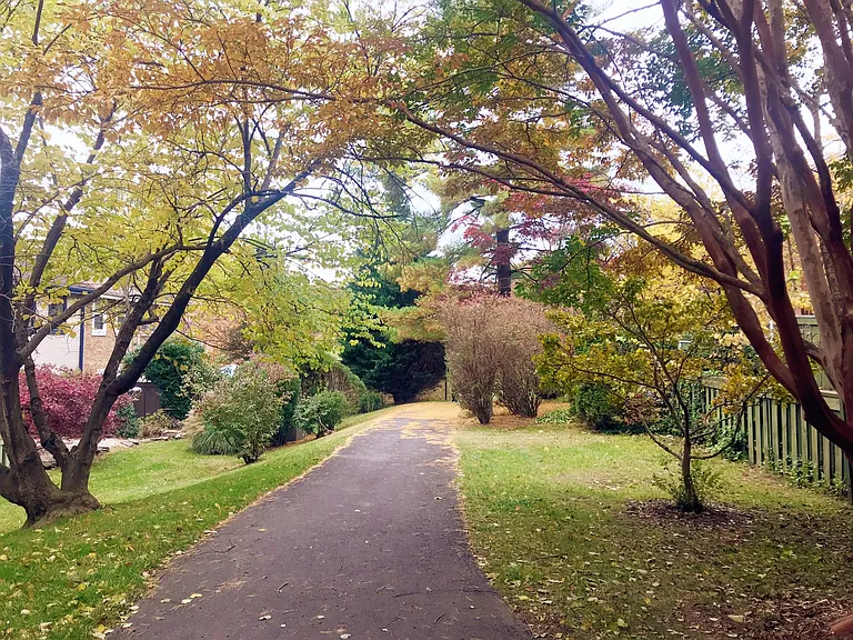 path behind house