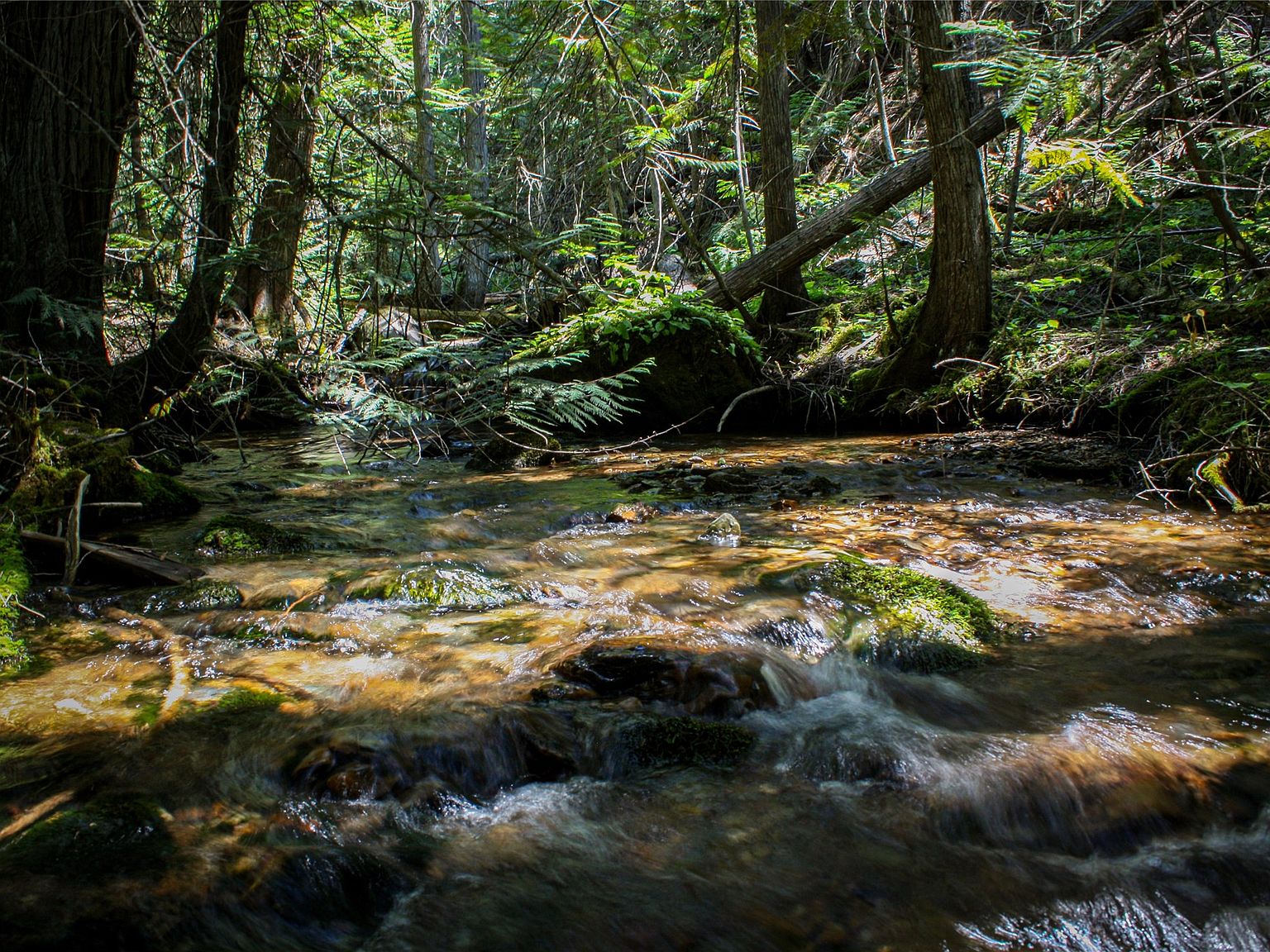 0 Johnson Creek Rd, Superior, MT 59872 MLS 30007330 Zillow