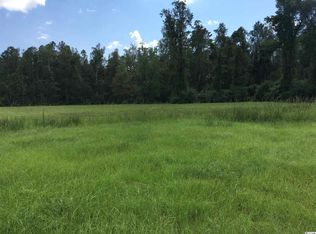 LOT Lot 2 Highway 41/51, Hemingway, SC 29554