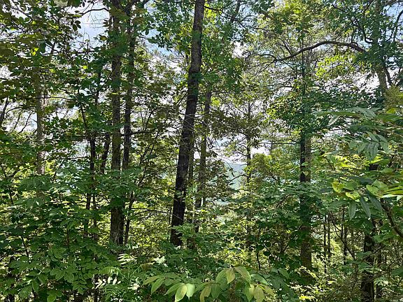 5th image of 0 Meadow Creek Rd