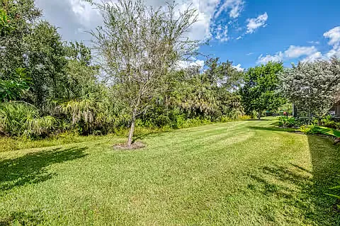 11976 Blazing Star Dr — Photo 29