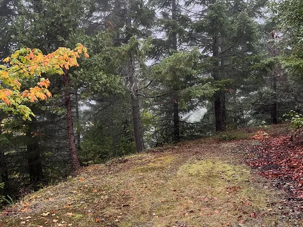 6232 Coyote Creek Rd, Wolf Creek, OR 97497