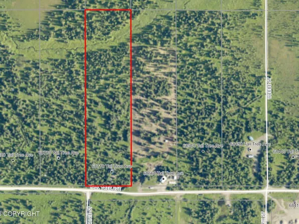 68710 Tall Tree Ave, Anchor Point, AK 99556