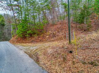 Stinnett Ridge Rd, Cosby, TN 37722