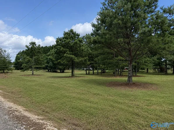 LOT 2 Rachel Ln, Centre, AL 35960