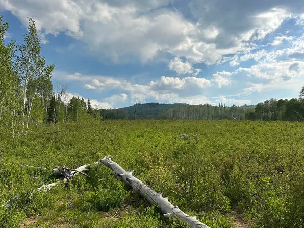 94 Hilltop Ln, Fairview, UT 84629