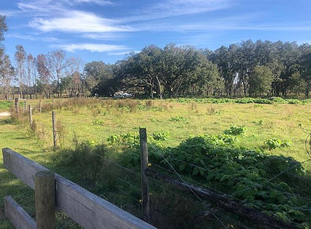 2nd image of 5012 Buddy Rogers Way