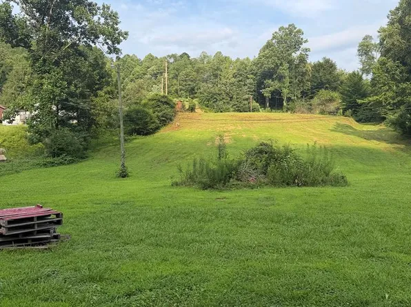 799 Pearl Hill Rd, Delbarton, WV 25670