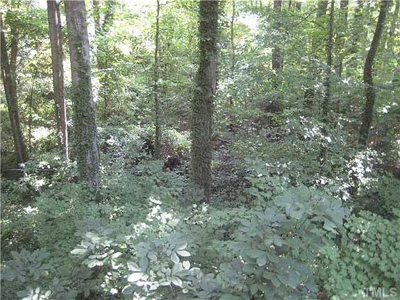 private wooded back yard