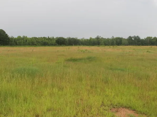 0 Galloway Rd Parcel 6&7, Graceville, FL 32440