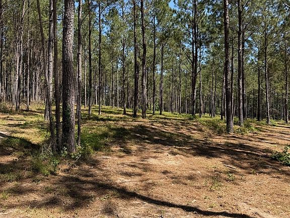 2nd image of Collins Rd