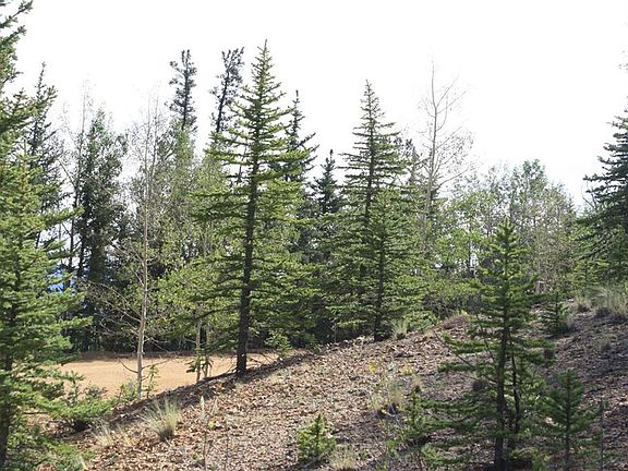 2nd image of 278 Tipi Ln