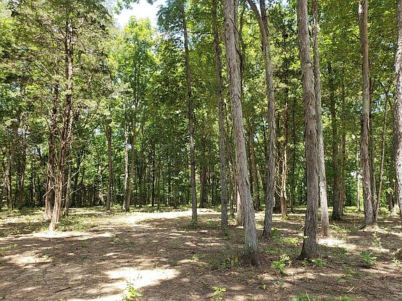 4th image of 4821 Kedron Rd Lot 1