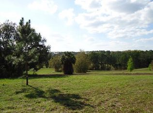 41509 Saddle Ridge Ln, Weirsdale, FL 32195