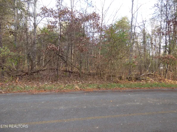 Cove Ln, White Pine, TN 37890