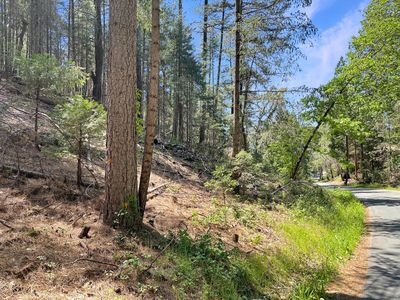 1111 Norton Grade Rd, Colfax, CA, 95713