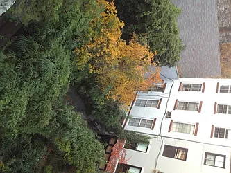 Rented by Mark David