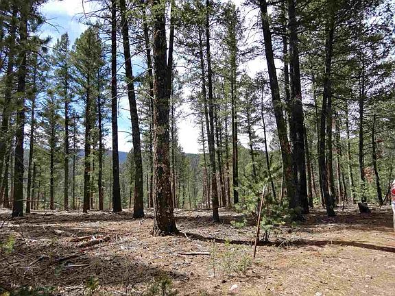 2nd image of LOT 3 Pinos Verdes