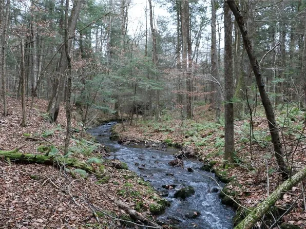Kenoza Trail, Kenoza Lake, NY 12750