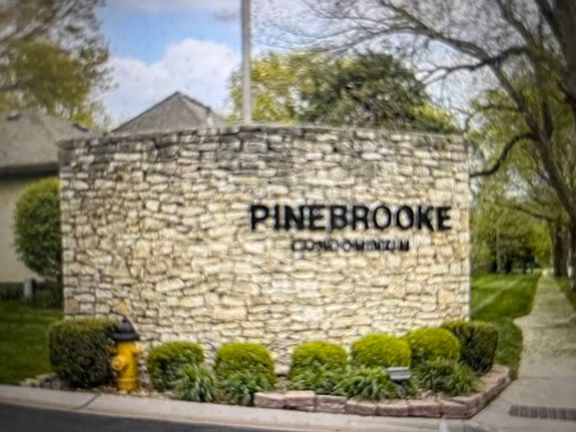 Great community with all the amenities pool, lawn and snow maintenance. Trash included etc.