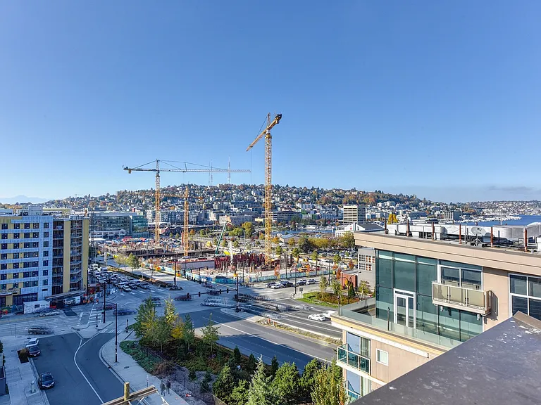 View of Neighborhood from Rooftop