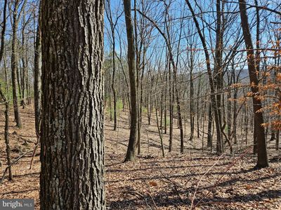 597 Buckeye Trl, Loysville, PA, 17047