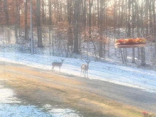 0 Maxfield Ln, Elizabethtown, IL 62931