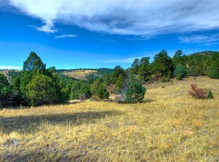 15013 Trinity Peak Trl, Pine, CO 80470
