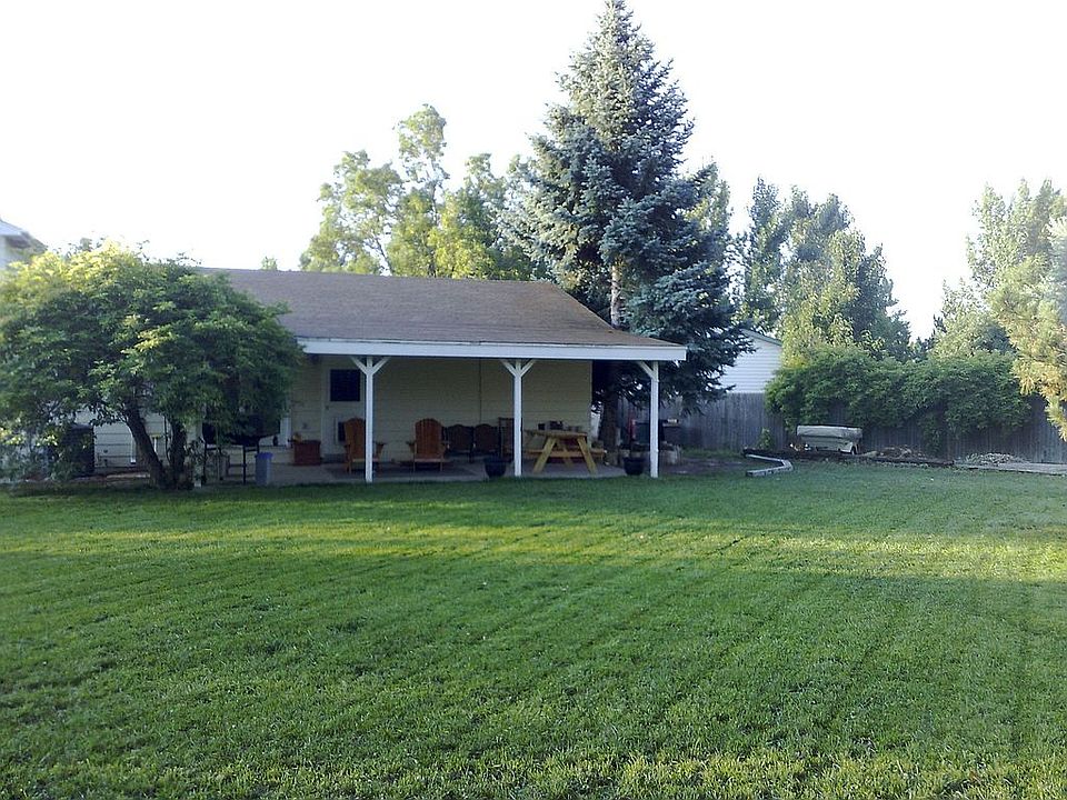 back yard