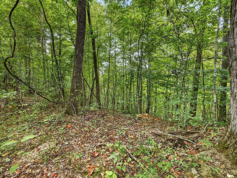 1st image of 0 Timber Ridge Ln Lot 30&31