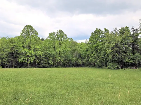 Tbd Se Franklin Pike, Floyd, VA 24091