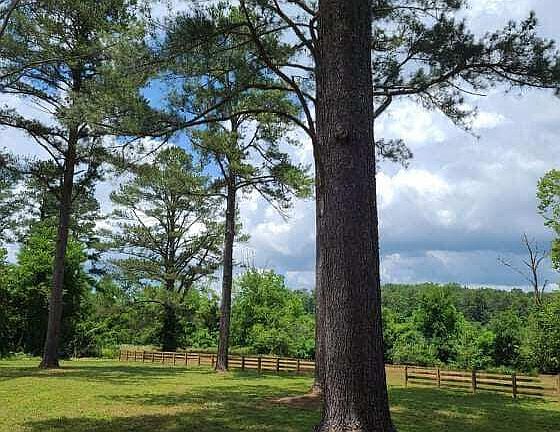 2nd image of 1624 Grand Creek Point