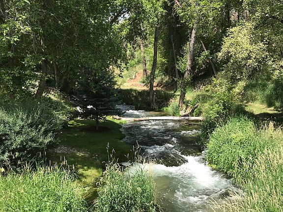 Creek view #2