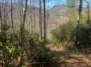 208 Ivy Ridge Cir, Sylva, NC 28779