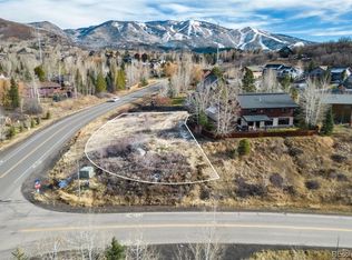 230 Caribou Ln, Steamboat Springs, CO 80487