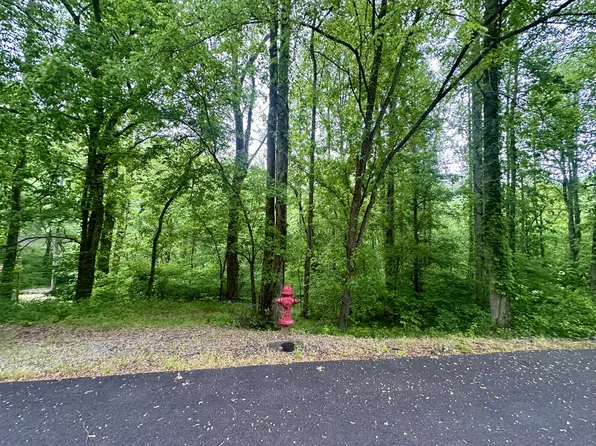 0 Baymont Dr Lot 82, Lancaster, TN 38569