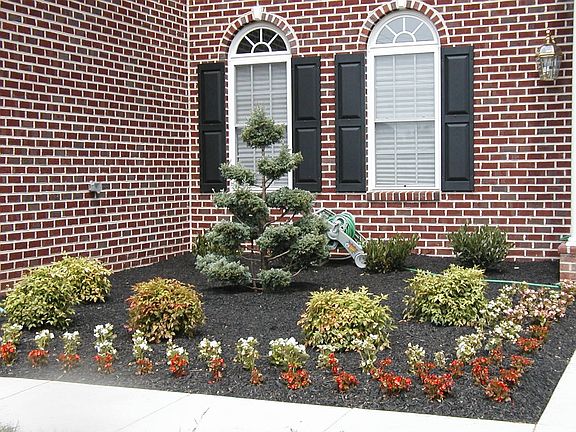 Lovely landscaping!!