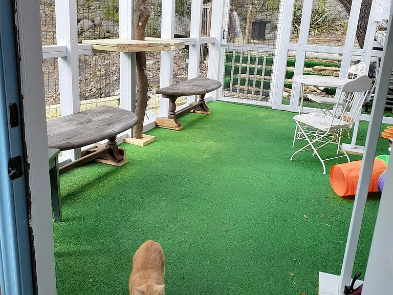 Catio