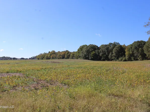 14901 Desoto Rd, Olive Branch, MS 38654