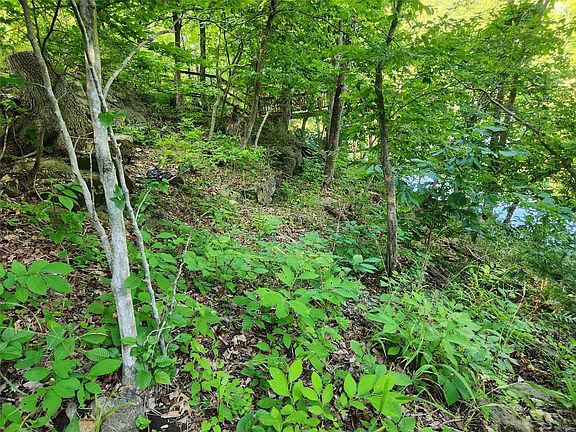 5th image of 1961 Sugar Hollow Ct