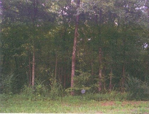 2nd image of 100 Doya Ln