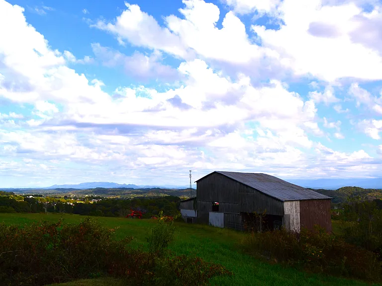 1851 Pine Ridge Rd — Photo 27
