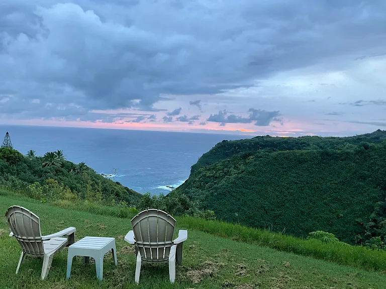 Backyard view