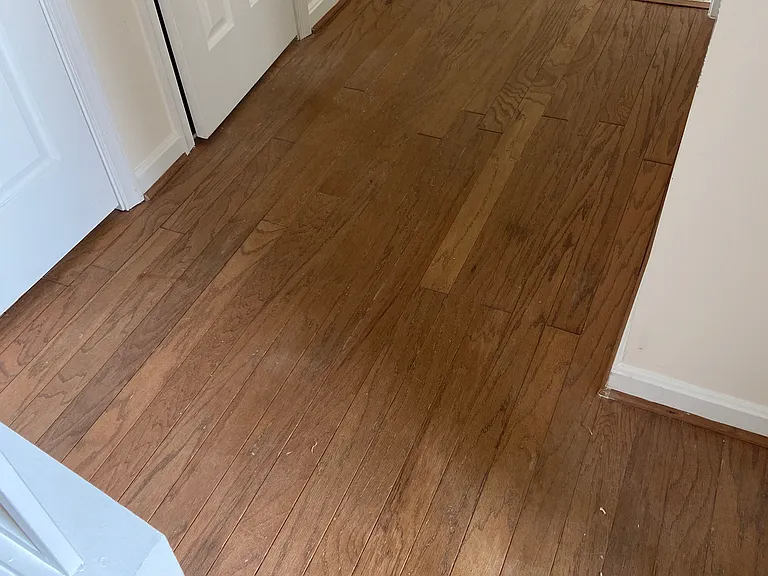 2802 Emma Lee St #302 — Photo 12